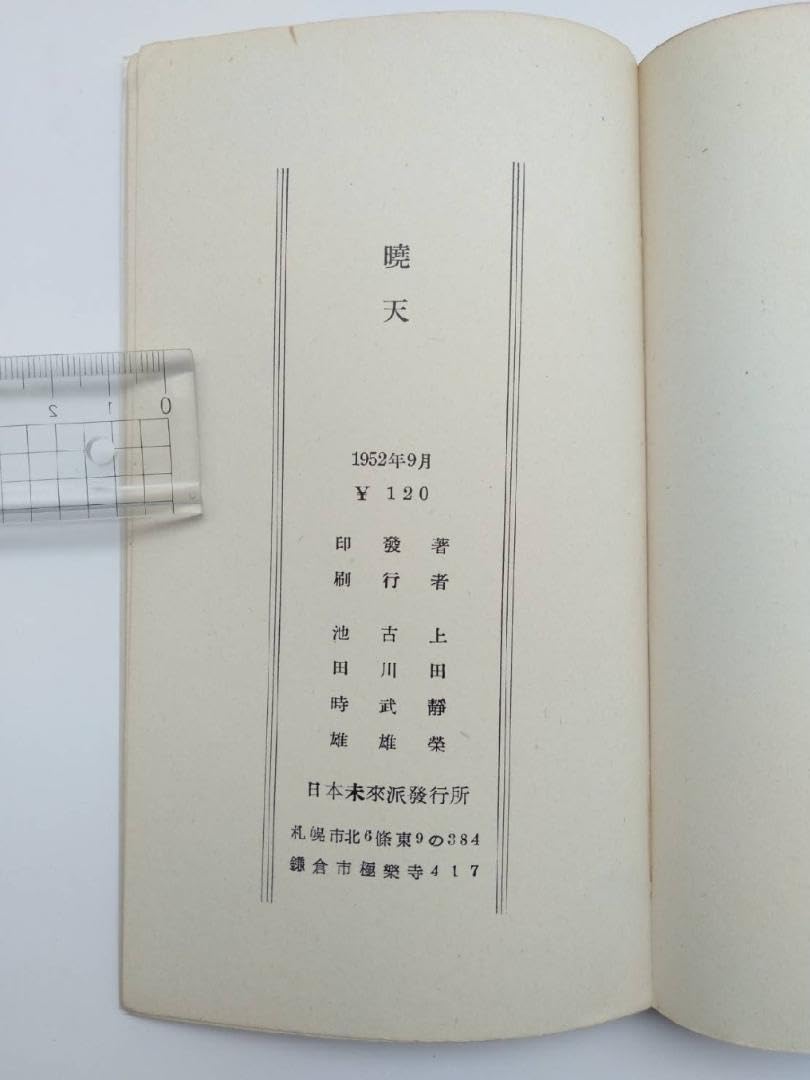 詩集天曉　上田靜榮　日本未來派発行所 Amazon.co.jp: 詩集天曉 上田靜榮 著 : おもちゃ