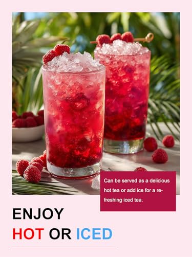 Image of TeeLux Raspberry Hibiscus Tea Bags, Tart & Sweet Notes, Caffeine Free 100ct | Tart Hibiscus Blend with Sweet Licorice, Lemongrass, Rosehips & Natural Raspberry Flavor, Juicy Berry Notes, Hot or Iced