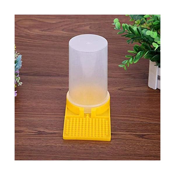 Zerotwo Wassertrinken Spender Bienen Wasserspender Wasser Feeder BienentrÃ¤nke Trinkschale fÃ¼r Bienen Imker AusrÃ¼stung fÃ¼r Bienenzucht werkzeug Imkerei, Bienenfutter – Bild 6