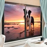 Country Dog Lot de 2 films de protection de l'intimité pour fenêtre de maison Motif animaux de la nature 90 x 160 cm