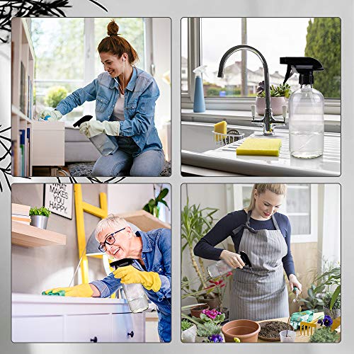 Worldgsb Glass Spray Bottles, 16Oz Refillable Containers, Empty Boston Round Bottles With Labels & Adjustable Nozzle For Cleaning, Gardening, Aromatherapy, Pets, Plant, Hair -Clear (1 Pack) #TOP6