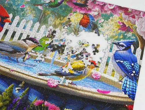 Puzzle 500 Piezas Temática Aves 3+ Años miniatura 4