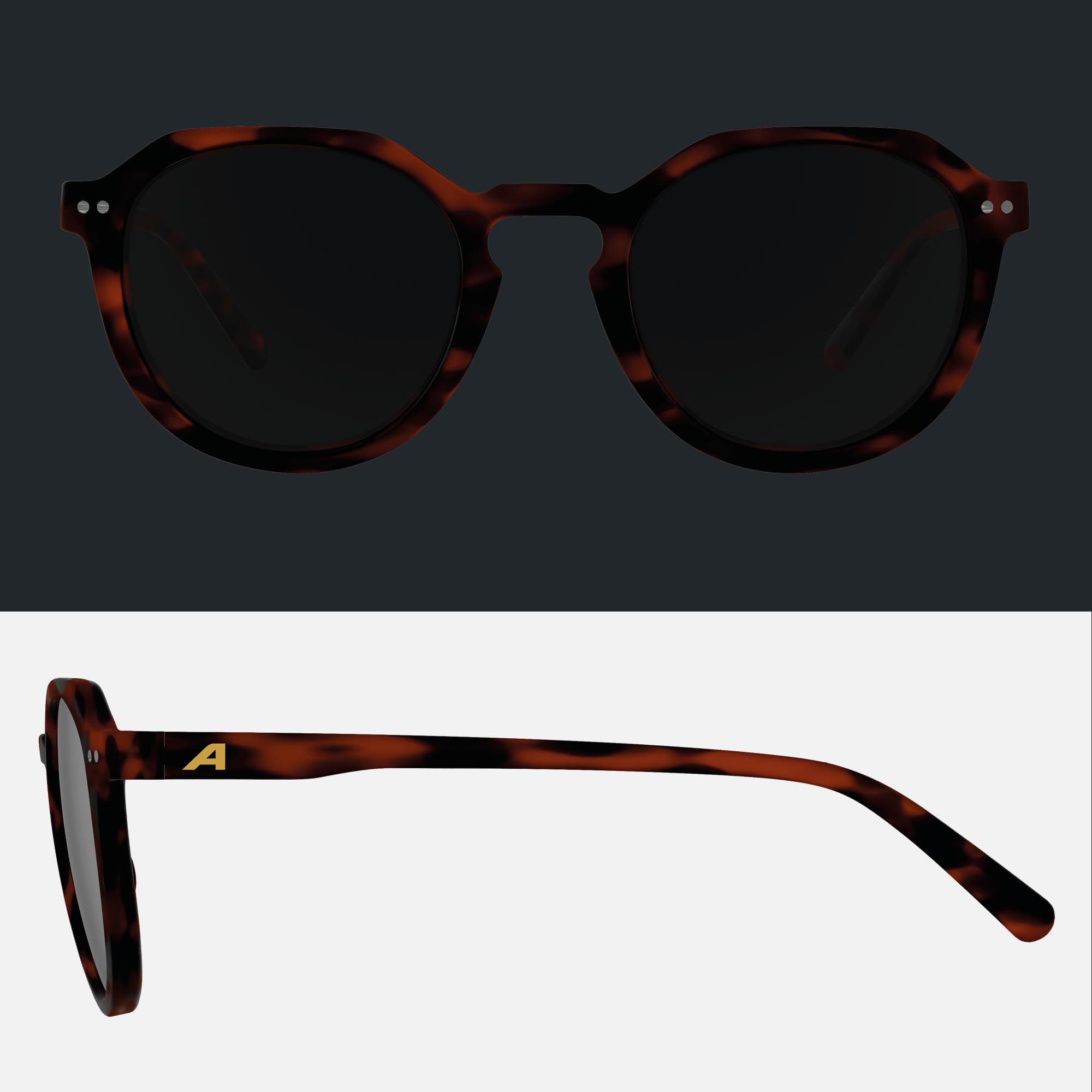 ALPINA Sneek II, stylische Sonnenbrille für Erwachsene, 100% UV-A, B, C-Schutz