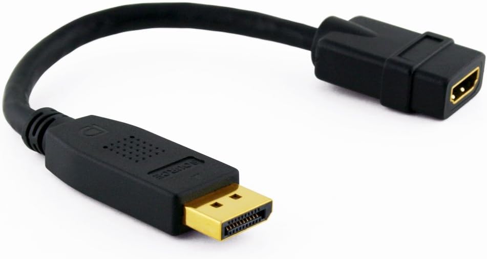 Cablesson Convertisseur DisplayPort vers HDMI Câble vidéo DP Mâle vers