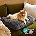 BEDSURE Flauschiges Hundebett für kleine Hunde - 61x45x8 cm Hundebett waschbar, rutschfeste Unterseite, plüsch Hundekissen, Dunkelgrau