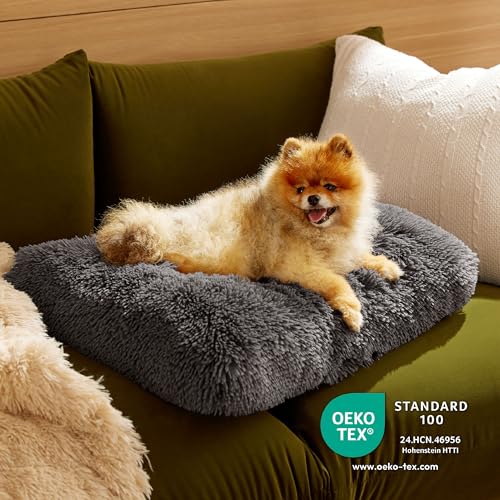 BEDSURE Flauschiges Hundebett für kleine Hunde - 61x45x8 cm Hundebett waschbar, rutschfeste Unterseite, plüsch Hundekissen, Dunkelgrau