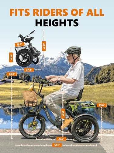 T300 Adults Electric Trike Bike, 1200W Peak Motor & 624Wh