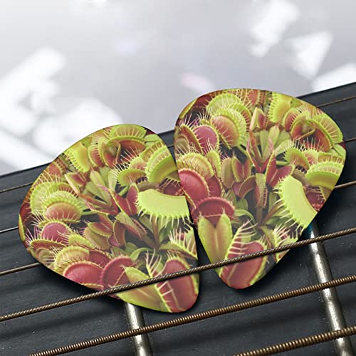Médiators de guitare 12-Pack Médiators de plantes carnivores pour guitare électrique Guitare acoustique Diverses… - Les Beatles, Paul McCartney, John Lennon, RIngo Starr, George Harrison Médiators de guitare 12-Pack Médiators de plantes carnivores pour guitare électrique Guitare acoustique Diverses… – Image 7