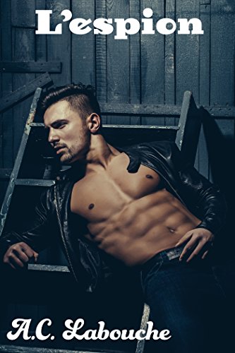 Télécharger L'espion: La température monte : HHF Romance Bisexuel (Les Amants Interdits t. 2) livre En ligne