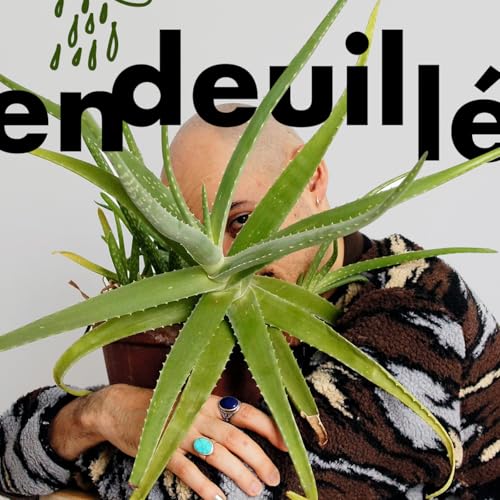Endeuill&eacute; Podcast Por Milan R. arte de portada