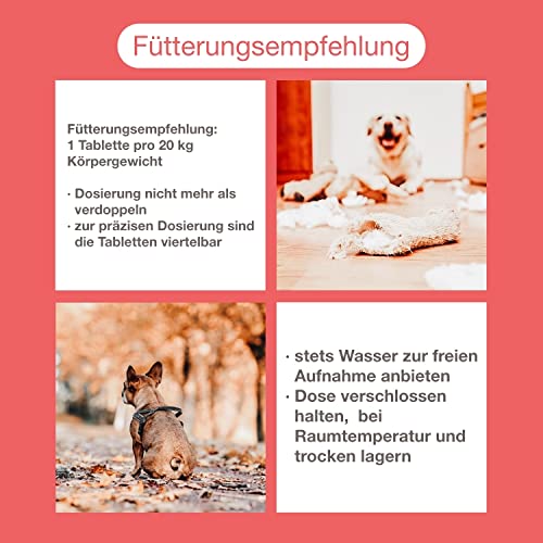 CaniMove multivital (100 Vitamintabletten für Hunde) | B-Komplex, A, C, D3, E und Taurin | Multivitamine für Barf, OPs, Aufbau, Laktation, Sport, Anstrengung, Krankheit | bis zu 1 Jahr Reichweite