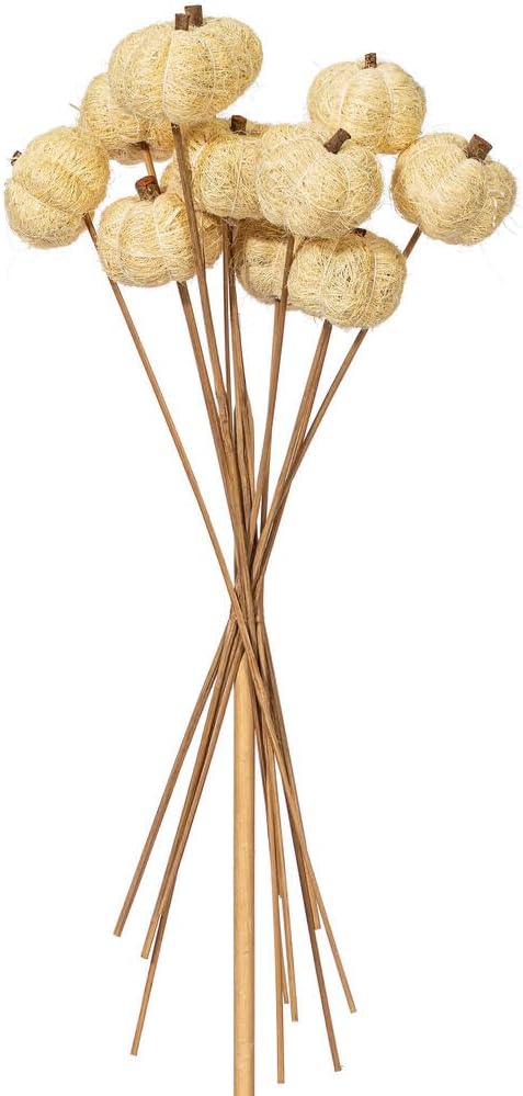 Vickerman Natural Botanicals Dried 2.5-3 inch Hand Crafted Orange Coconut Coir Pumpkin. 24 per Bag. Twelve 2.5 inch and Twelve 3 inch Pieces.