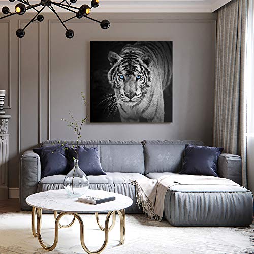Seven Wall Arts Black And White Tiger Canvas Wall Art Modern Wildlife Pictures Wall Decor Tiger With Blue Eyes Animal Poster Print For Bedroom Office Bathroom Living Room Decorations 24 X 24 Inch #TOP3