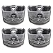 Carbhub 4 Set Connecting Rod Piston Kit for Kia Rio Soul for Hyundai Accent Vel oster 1.6L Replace for 23041-2B600, 23041-2B610, 23041-2B620, 23410-2B600,23510-2B010