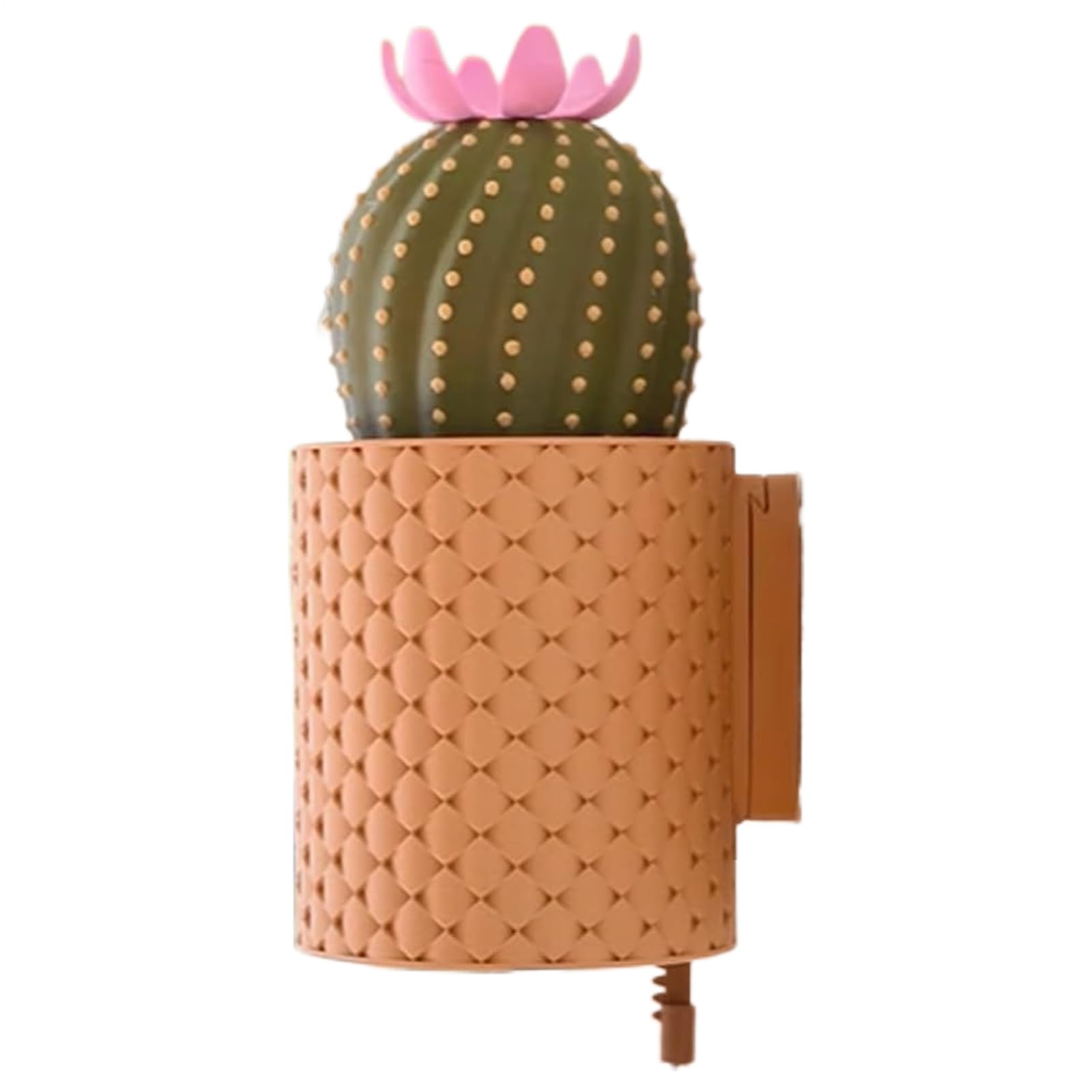 Porte-clés mural cactus pour organiser l'entrée de maison avec ce crochet décoratif pratique