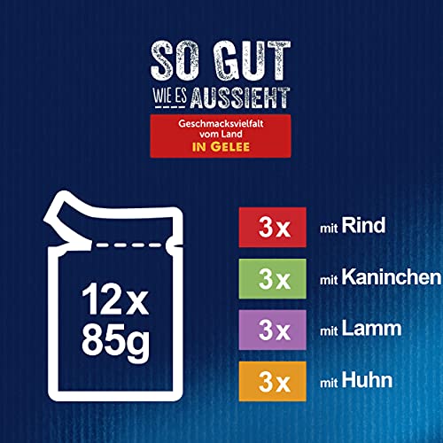 Felix So gut wie es aussieht Katzenfutter nass in Gelee, Sorten-Mix, 6er Pack (6 x 12 Beutel à 85g)