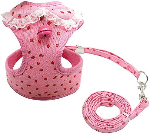 Didog Adjustable Pet Mesh Vest Harness and Leash Set with Cute Bell for Puppy Small Medium Dogs and Cats