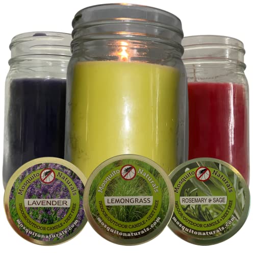 Find The Best Outdoor Candles For Mosquitoes Reviews & Comparison Katynel