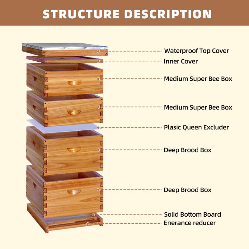10Frame Langstroth Beehive, Wax-Coated with 100% Beeswax (2 Deep Box & 2 Medium Super No Frames Included) 4-Layer