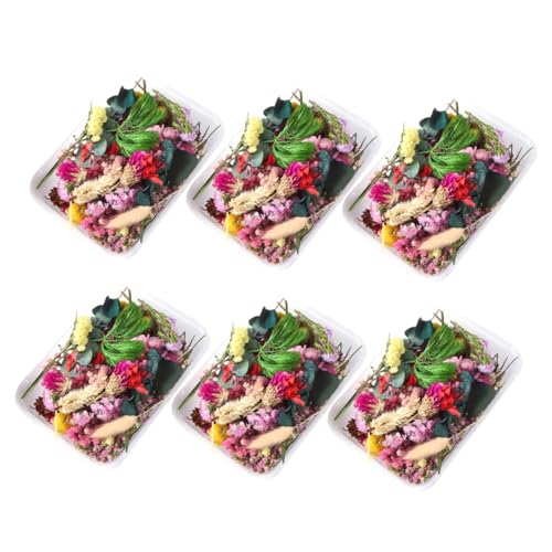 Flores Secas para Manualidades y Decoración miniatura 1