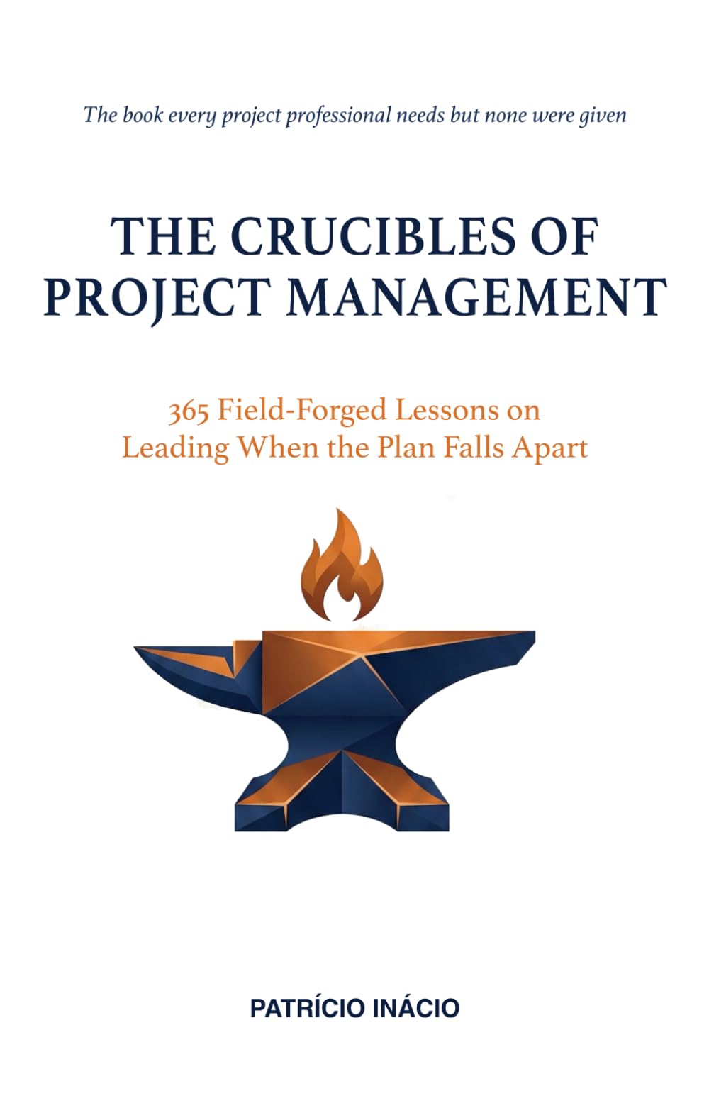 THE CRUCIBLES OF PROJECT MANAGEMENT: 365 Field-Forged Lessons on Leading When the Plan Falls Apart