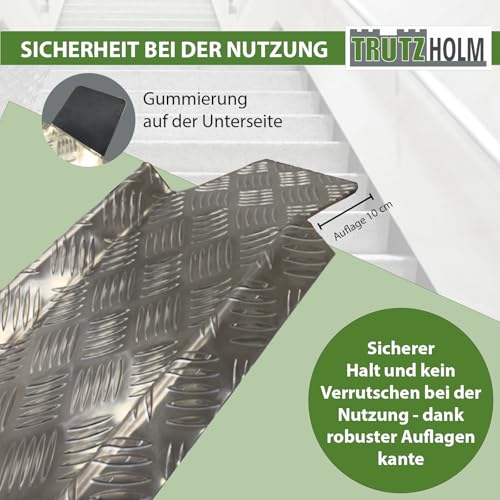 TRUTZHOLM Treppenrampe Auffahrschiene 150-270 cm verstellbar Alu grau Rampe für E-Bike Fahrrad