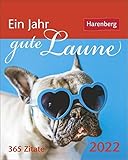 zitate humor geburtstag  Ein Jahr gute Laune Kalender 2022: 365 Zitate
