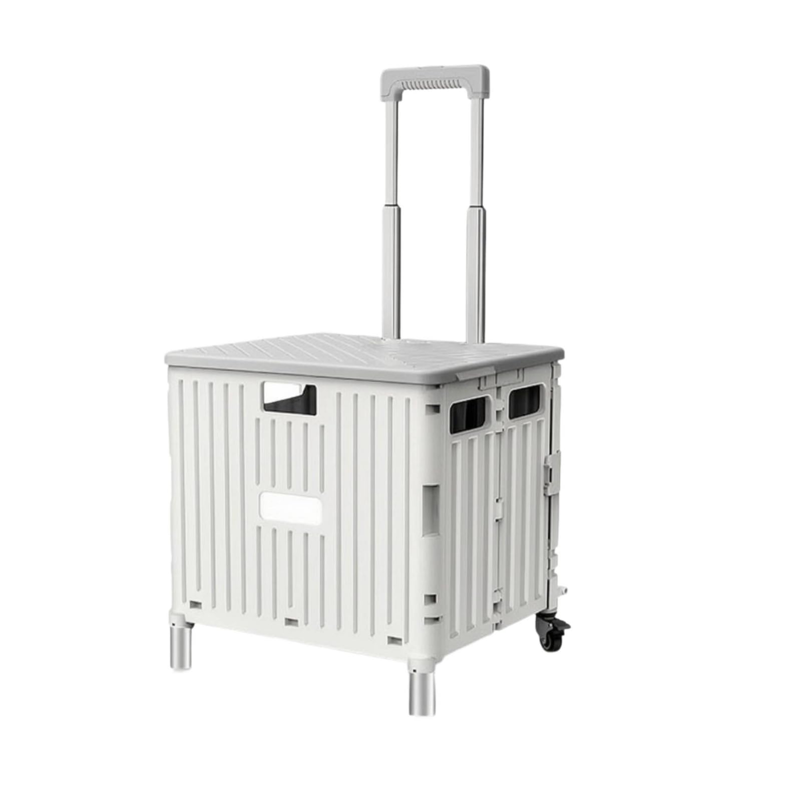 Belastbar Klappbox mit Rollen, Color to 1