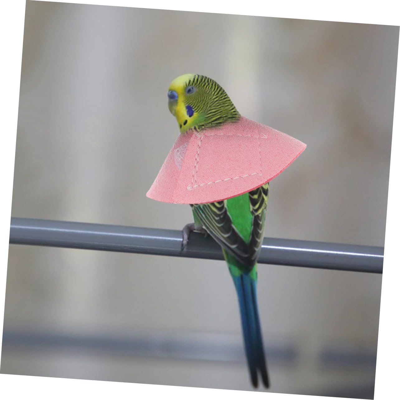 BESPORTBLE 4pcs Parrot Cone Collar Bird Biting Collar Bird Supply Parrot Cones for