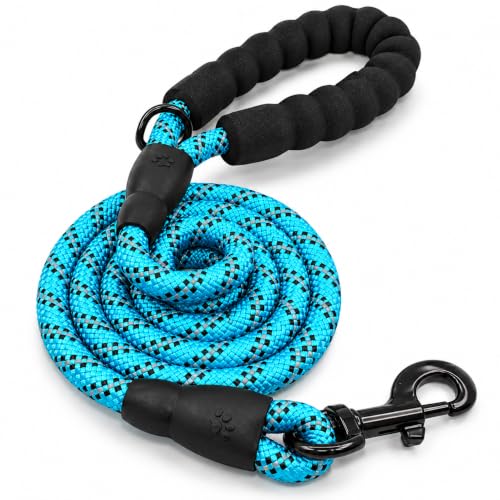 Image of PetVogue FT Nylon Rope Dog Leash, Heavy Duty Training & Walking Lead for Small, Medium & Large Dogs, Reflective Pet Walking Cord with Comfortable Padded Handle & Strong Metal Clip (Blue)