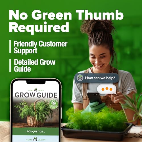 HOME GROWN Dill Seeds 2 Pack (Anethum Graveolens) - 2028 Non-GMO Heirloom Herb Seeds for Planting Indoors or Outdoors, High Germination, Ideal for Herb Gardens, Pots, and Cooking Flavorful Dishes - Image 8