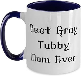 Special Gray Tabby Cat Gifts, Best, Epic Birthday Two Tone 11oz Mug Gifts Idea For Cat Lovers, Gray Tabby Cat Gifts From Friends, Cat toys, Catnip, Scratching post, Cat food, Water fountain, Litter