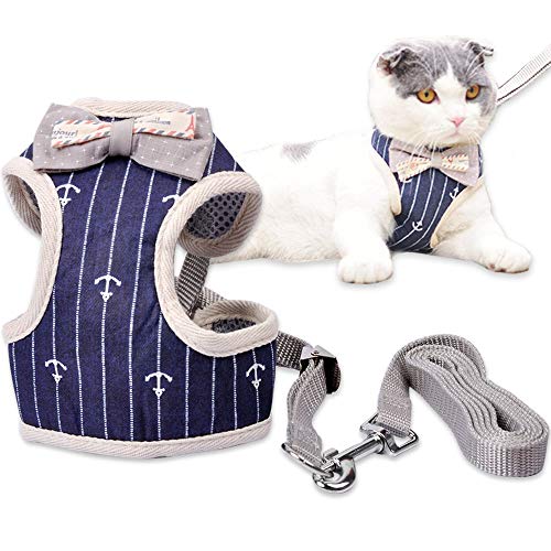 amazon.ae Best Sellers The best items in Cat Leashes based on Amazon