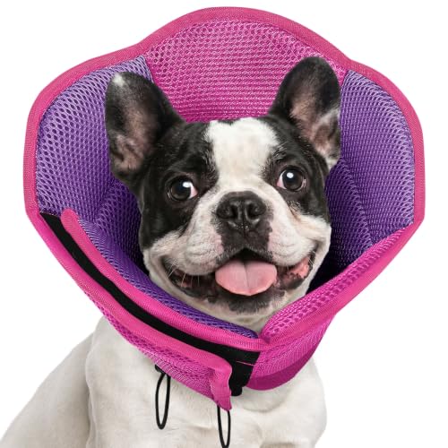Image of AOFITEE Dog Cone - Soft Cone for Dogs to Stop Licking After Surgery, Foldable Small Dog Cone Collar, Adjustable Cones for Dogs for Wound Healing, Elizabethan Pet E-Collar, MagentaPurple Small