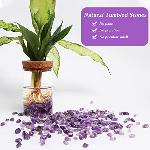 Image of QICQDRAM Polished Gem Stones Rocks Crystals 1 Lb Natural Tumbled Stones Amethyst Crystal Chips Bulk for Healing Crystals & Fish Tank Rocks Gravel, Vase Filler, Plants Decor