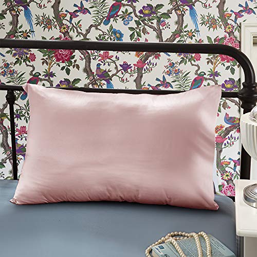 OLESILK Taie d'oreiller en Soie Naturelle Cover