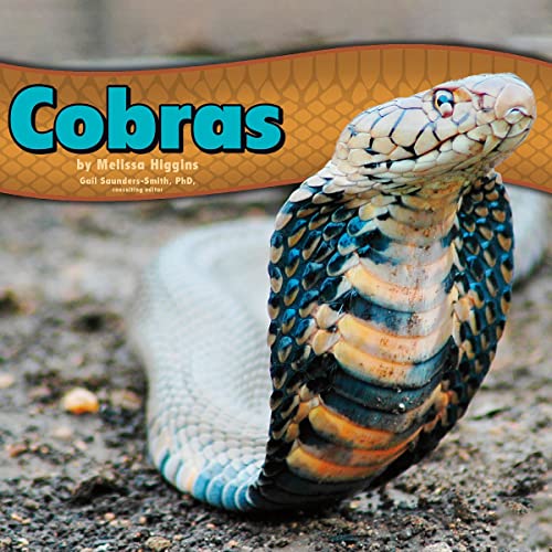 Cobras by Gail Saunders-Smith, Melissa Higgins episode artwork