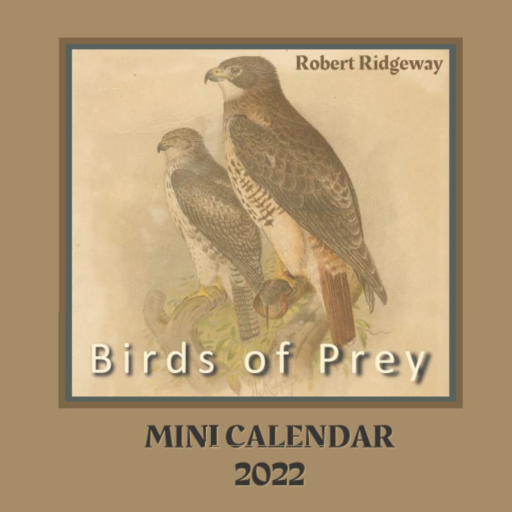 Birds of Prey Mini Calendar 2022: Monthly Mini Calendar for 2022 - January to December, Beautiful Vintage Bird Art Book Illustrations, 8.5"x8.5" ... for Writing (Vintage Art Guru Calendars)