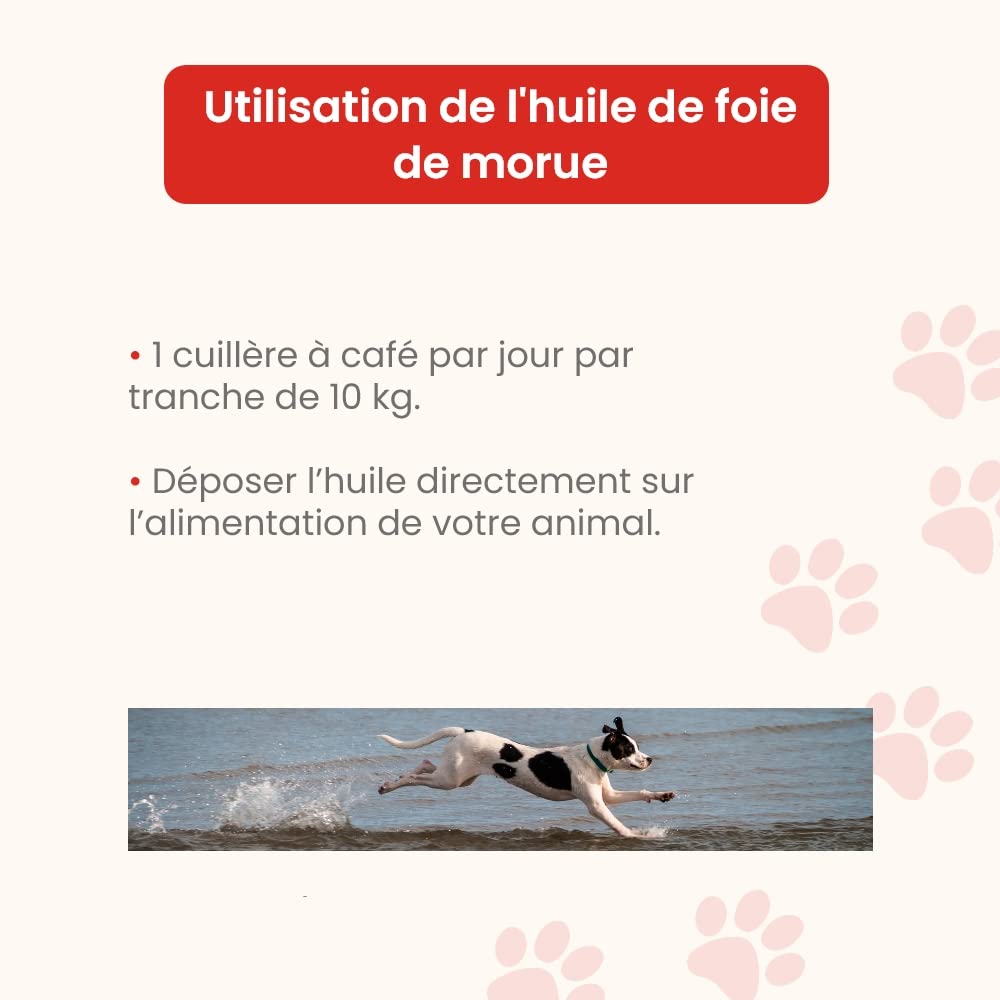 Huile de Foie de Morue 5 L - pour Chiens et Chats - Source de Vitamines A et D et d'Oméga 3 - Confort osseux et articulaire - Défenses immunitaires - Croissance - Développé en France