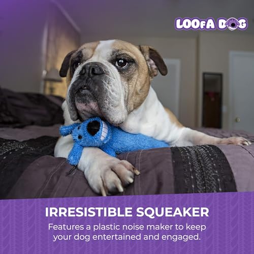 Multipet International Original Loofa Dog Mini 6-Inch Dog Toy (Assorted colors)