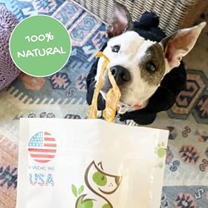Nature Gnaws Usa Turkey Tendons for Canine Premium Pure Chew Treats Scrumptious Reward Snack for Small Medium Giant Canine Made in the Usa 4 Oz Bag Cucciolini Doodles Nature gnaws usa turkey tendons for canine premium pure chew treats scrumptious reward snack for small medium giant canine made in the usa 4 oz bag cucciolini doodles