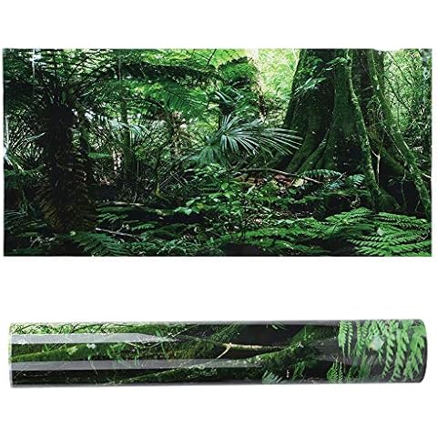 3D Effect Rainforest PVC Aquarium Backdrop Cover