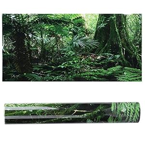 MechKit PVC Reptil Box Hintergrund 61*30cm