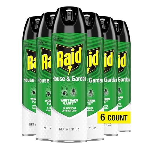 Raid House and Garden Insect Killer Spray