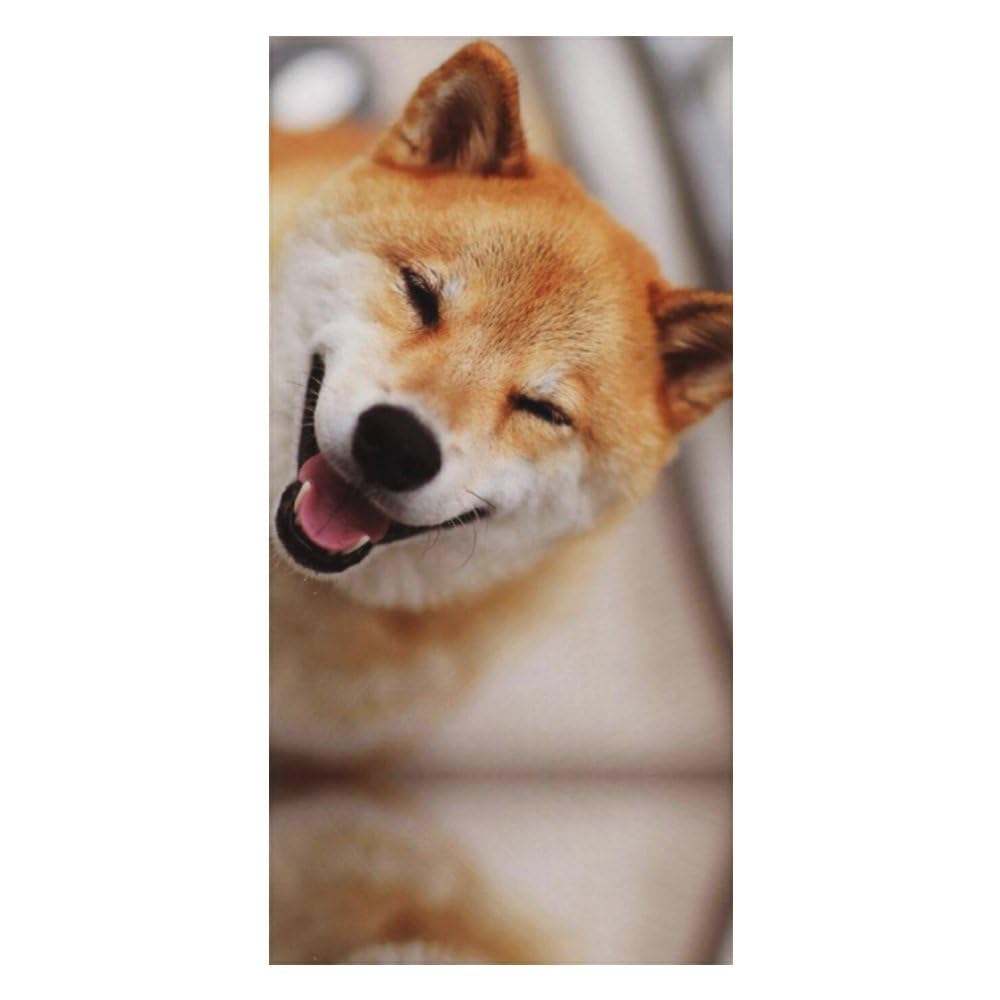 Serviette de plage 80 x 160 cm grand drap de piscine et natation Shiba Inu