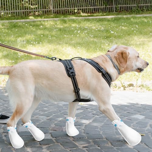 XSDSLS 20 Stück Einweg-Hundeschuhe,Einweg-Hundesocken,Pfotenschutz,Waterproof Hundefußabdeckungen Socken für Haustiere, Hunde, Welpen, drinnen und draußen (Weiß, M)