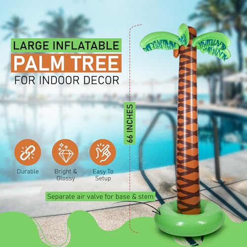 Reviews y listado de Palmera coco plumoso precio disponible en línea para comprar. 14 Imagen adicional