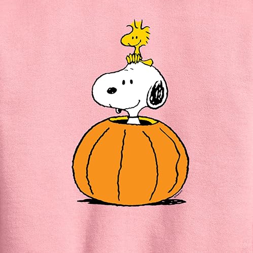 HYBRID APPAREL - Peanuts - Snoopy Woodstock Pumpkin - Toddler & Youth Crewneck Fleece Sweatshirt2