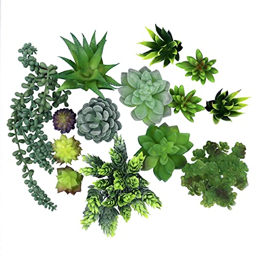Pack of 14 Assorted Artificial Succulent Plants - Unpotted Faux Succulent for Floral Arrangements - Small, Medium, and Large Textured Fake Succulent Set for Décor, Arts and Crafts and More
