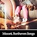 Mozart, Beethoven Songs – Classical Music for Baby, Instruments for Child, Easy Listening, Smart Little Baby